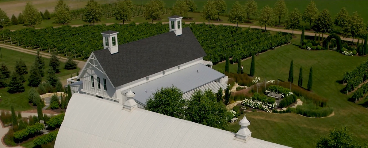 Redeemed Farm Vineyard